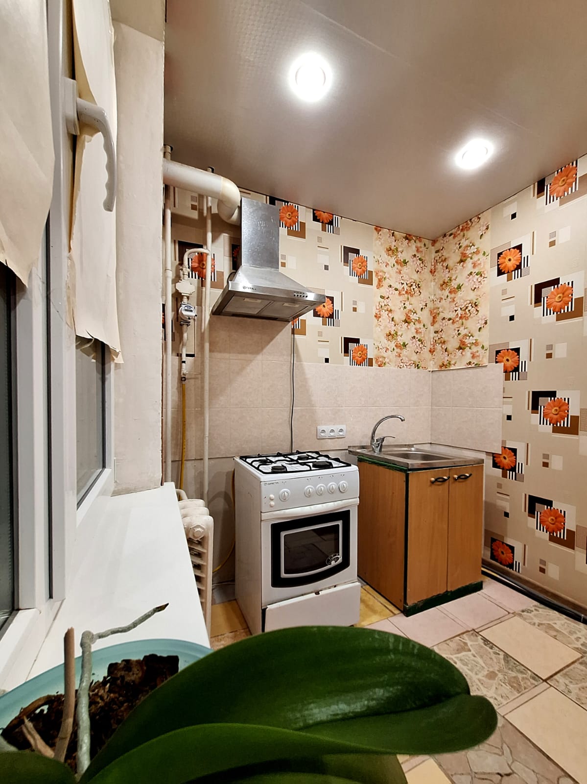 158b733d-a2d8-4108-aae0-cff3a16db4d3