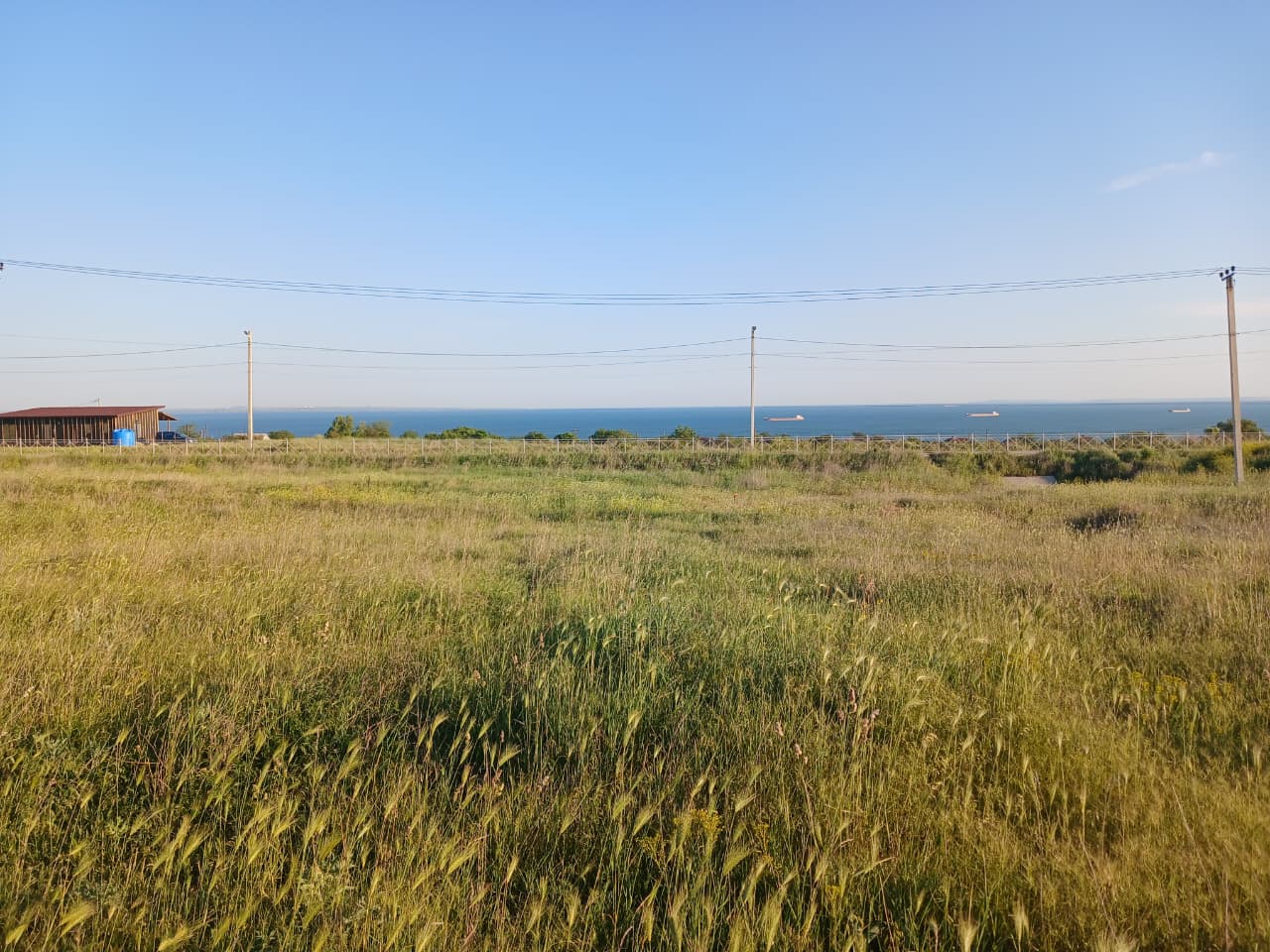 WhatsApp Image 2025-11-26 at 17.27.02